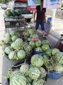 廊坊文安网红吃瓜事件,揭秘网络舆论的风暴与真相